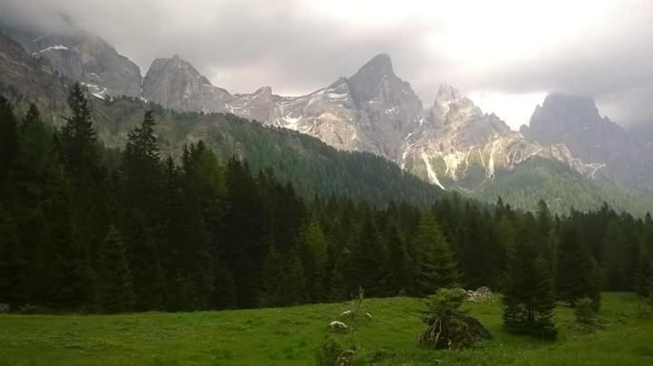 Hotel Garni Suisse San Martino Di Castrozza Exterior foto
